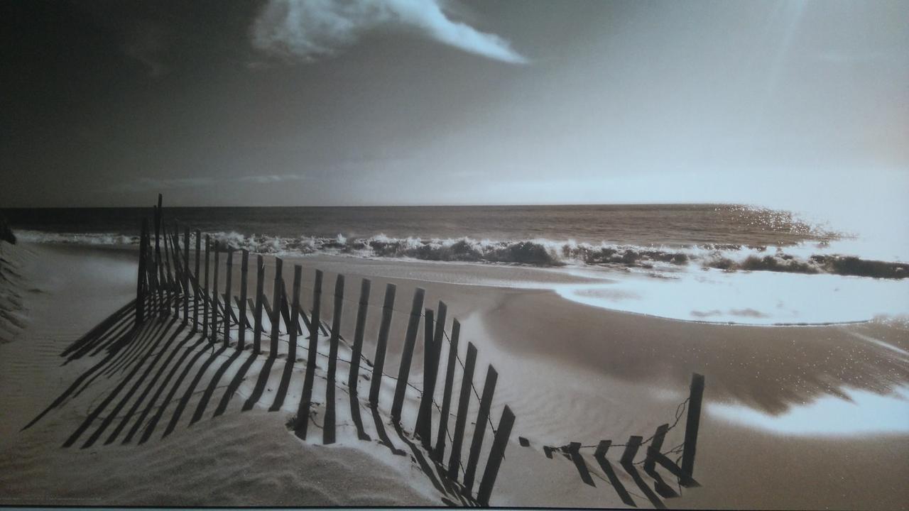 Driftwood B&B Weymouth Buitenkant foto